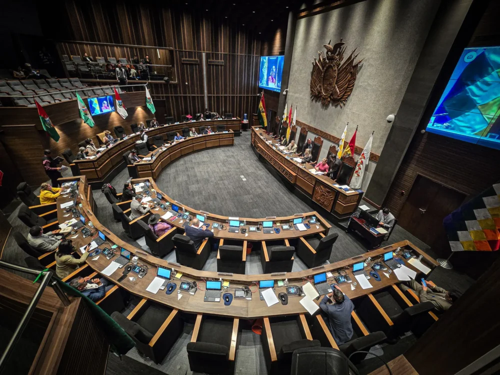 Sesión de la Cámara de Senadores. (Foto: Senado)