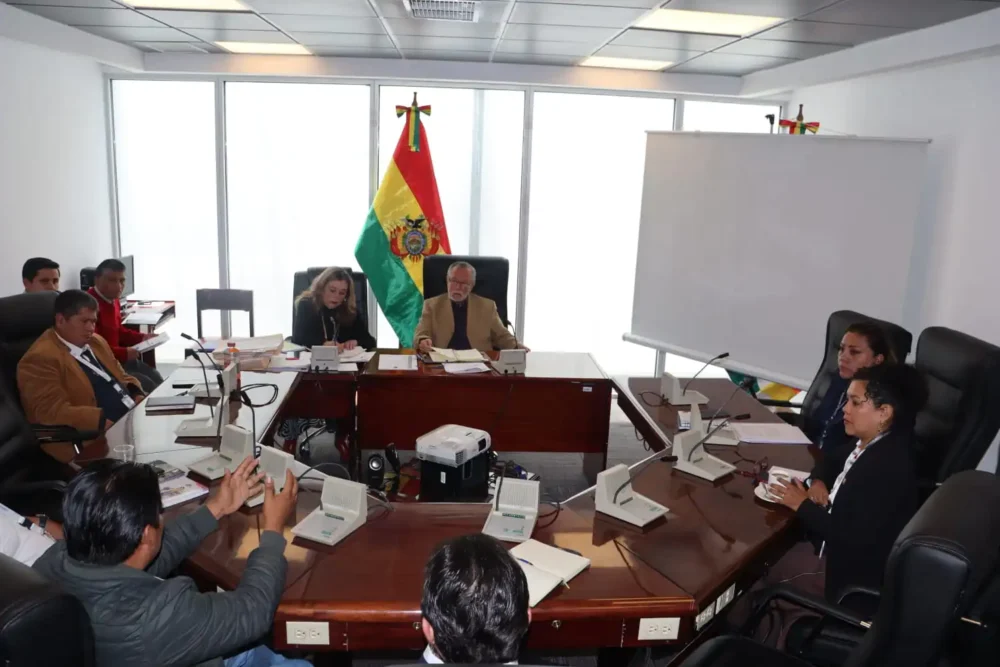 Sesión de la Comisión de Constitución. (Foto: Diputados)