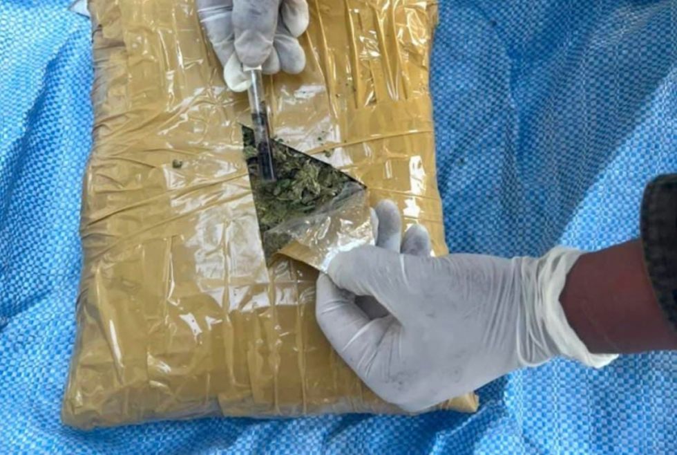 Caen dos pasajeros llevando 163 kilos de marihuana Caen dos pasajeros llevando 163 kilos de marihuana