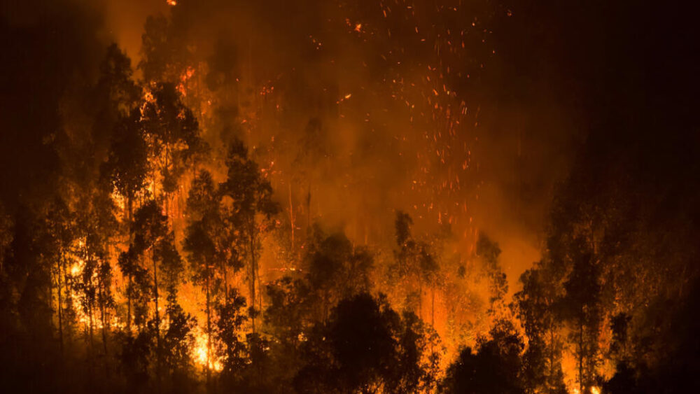 Incendios forestales cerca de Concepción, Chile, el 19 de enero de 2026.