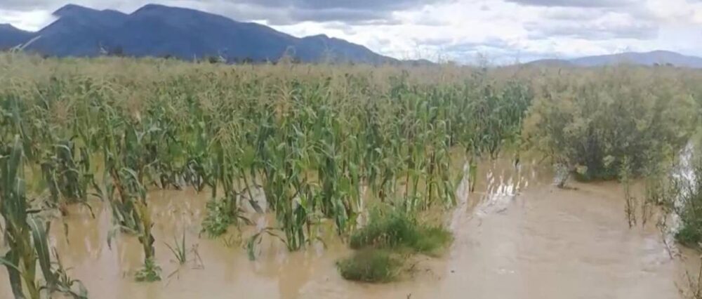 $output.data $output.data