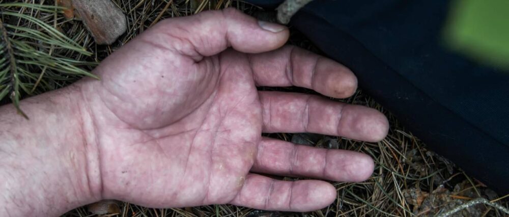 $output.data $output.data