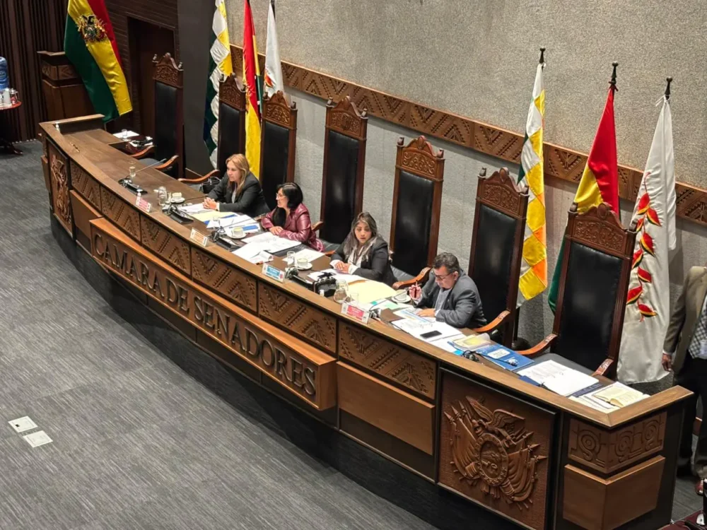 Directiva de la Cámara de Senadores. (Foto: Senado).