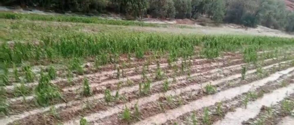 $output.data $output.data