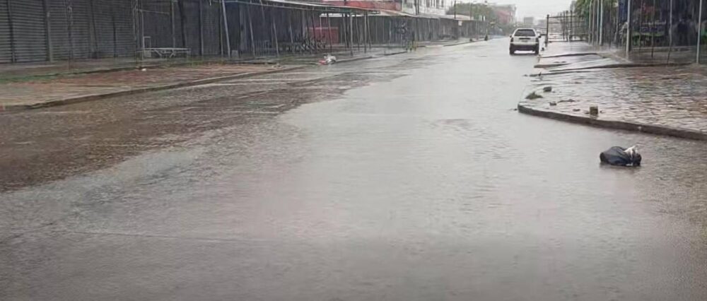 $output.data $output.data