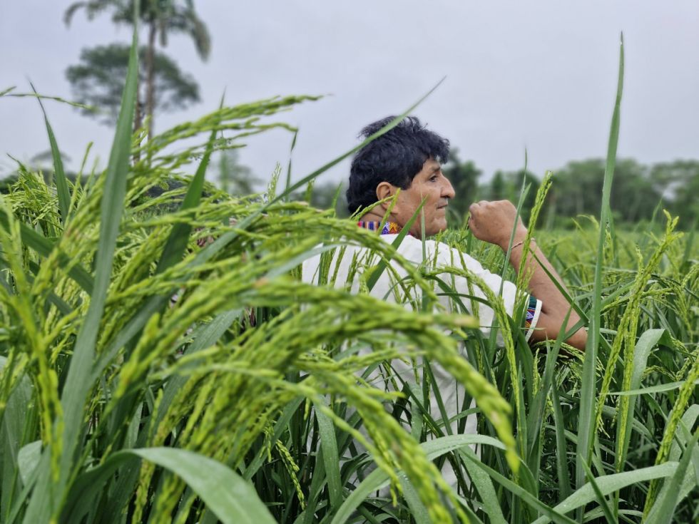Hace 22 días que el expresidente Evo Morales no aparece públicamente