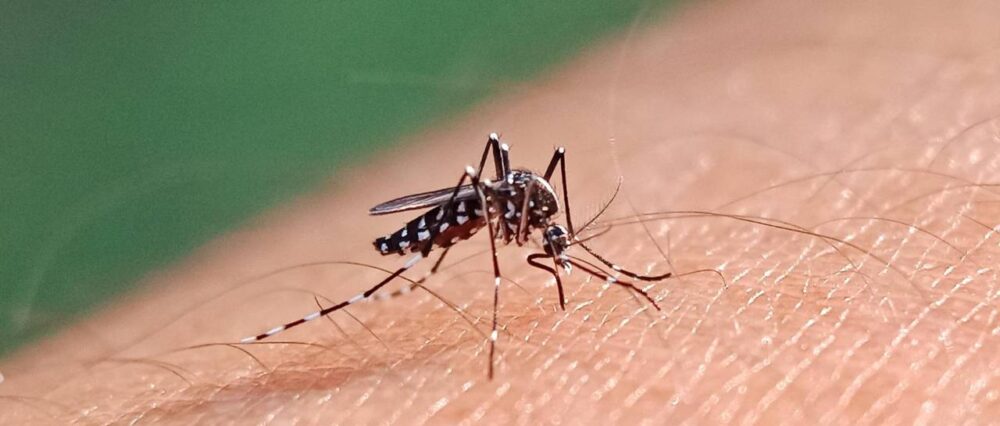 $output.data $output.data