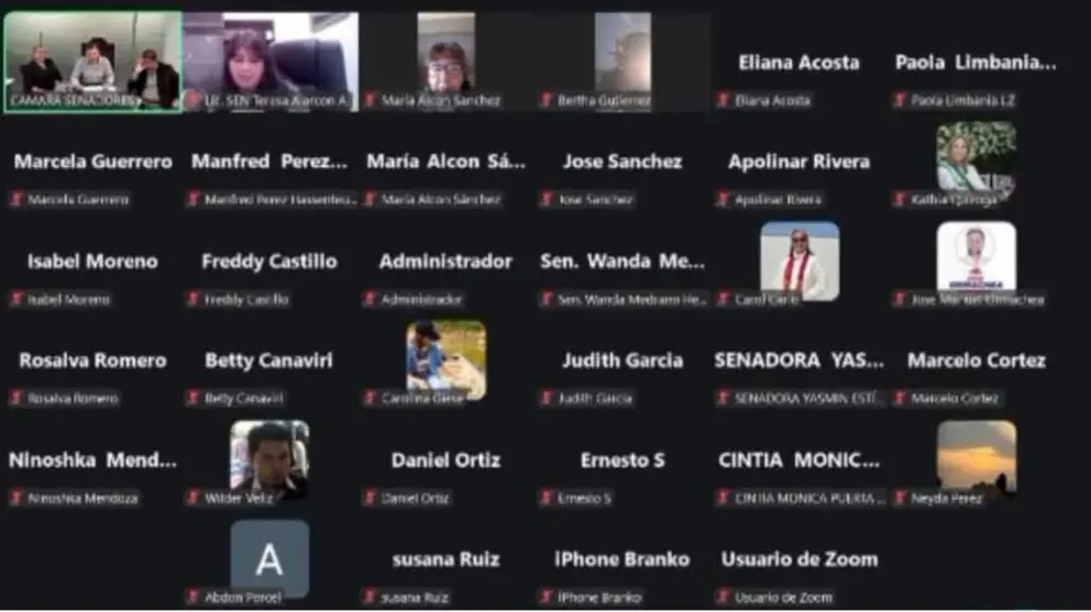 Sesión del Senado por Zoom. CAPTURA DE PANTALLA