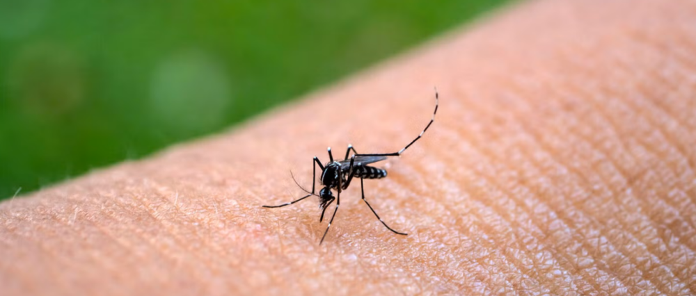 $output.data $output.data