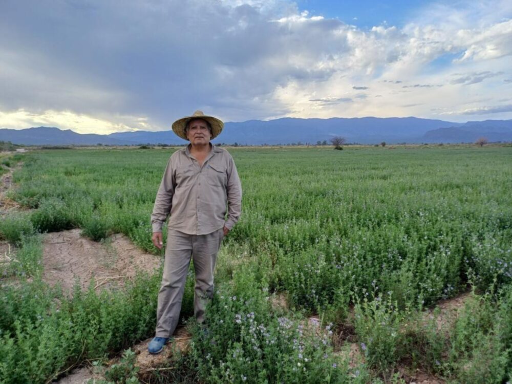 En el campo de Omar Aciar, la tierra está agrietada por la sequía.