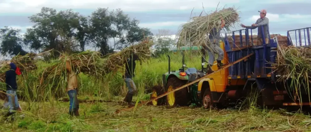 $output.data $output.data