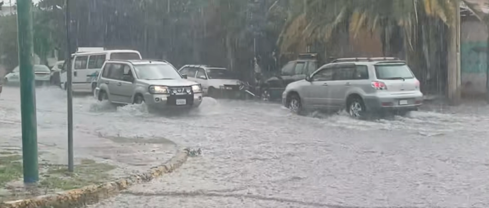 $output.data $output.data