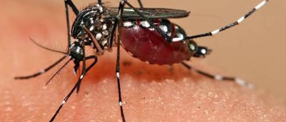 $output.data $output.data