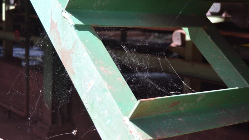 Complejo Siderúrgico del Mutún: la “ciudad de acero” que hoy respira óxido y maleza- Complejo Siderúrgico del Mutún: la “ciudad de acero” que hoy respira óxido y maleza