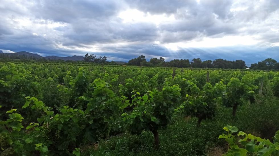 Carnaval bajo dos climas: lluvias en los valles y ola de calor en el Chaco tarijeño