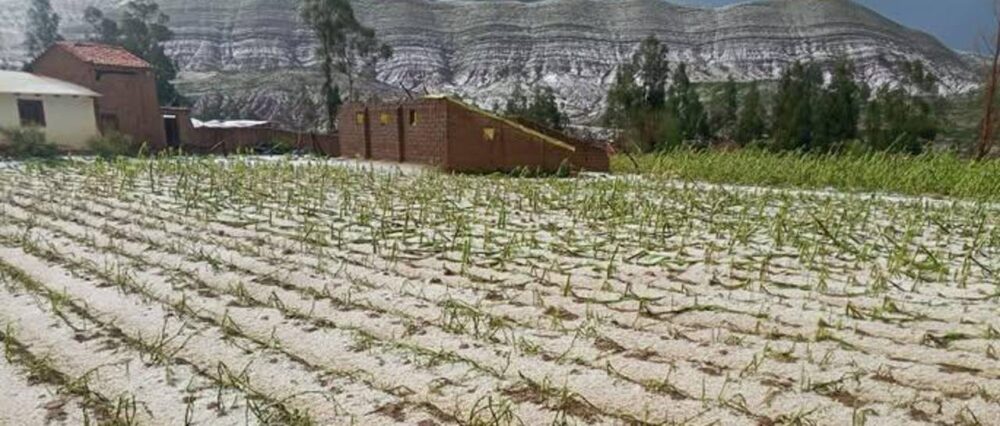 $output.data $output.data