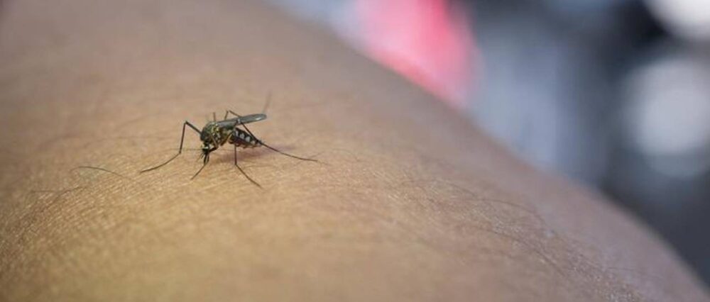 $output.data $output.data