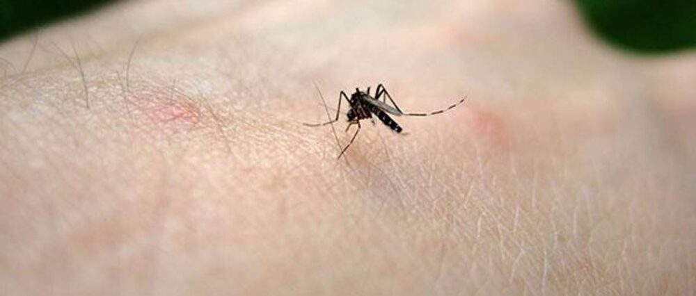 $output.data $output.data