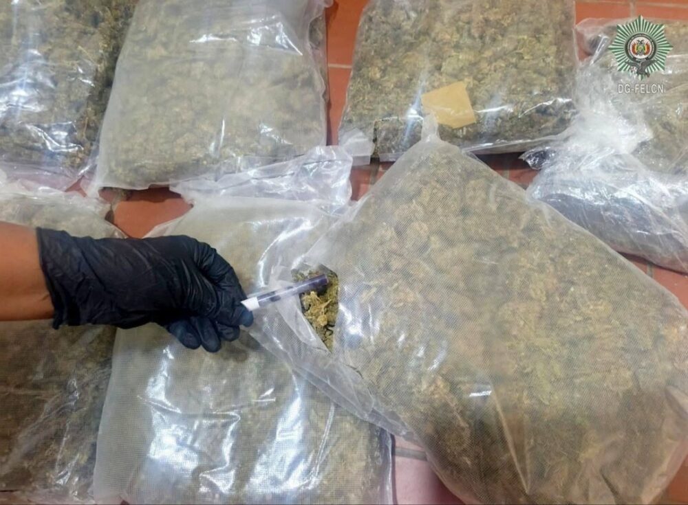 Bajan de un bus a una pasajera brasileña tras ser hallada con 11 paquetes de marihuana- Bajan de un bus a una pasajera brasileña tras ser hallada con 11 paquetes de marihuana