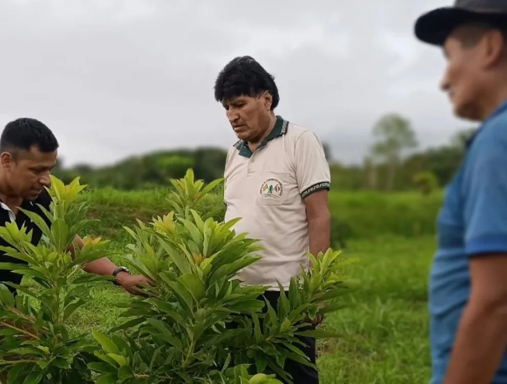 Evo Morales de visita en su chaco, esta semana. Foto: RRSS de Morales.