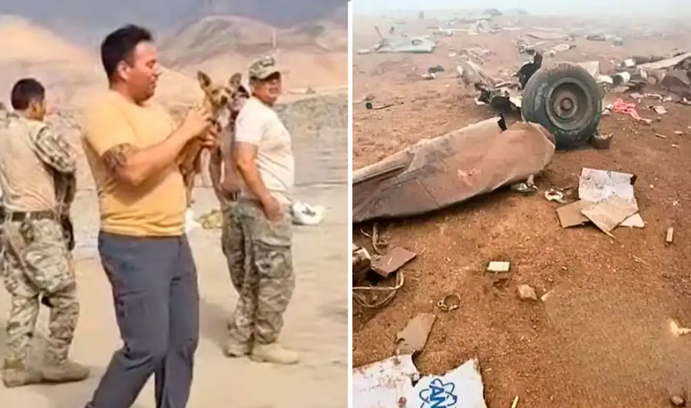 El chihuahua fue encontrado entre los restos del helicóptero tras el brutal impacto El chihuahua fue encontrado entre los restos del helicóptero tras el brutal impacto