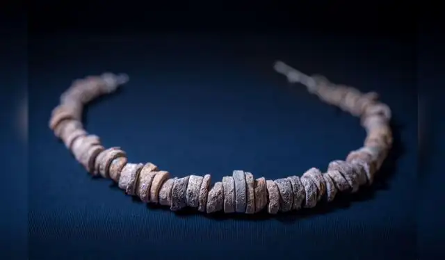 El Servicio Geológico Británico señala que encontrar un fósil completo de crinoideo es un descubrimiento "bastante infrecuente", ya que lo más común es hallar los discos individuales que componen su tallo. Foto: BBC El Servicio Geológico Británico señala que encontrar un fósil completo de crinoideo es un descubrimiento "bastante infrecuente", ya que lo más común es hallar los discos individuales que componen su tallo. Foto: BBC