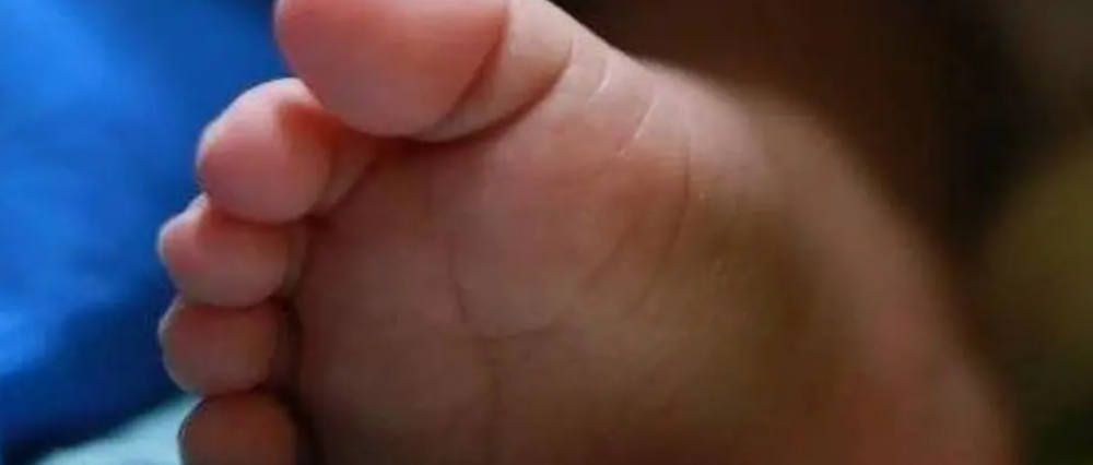 $output.data $output.data