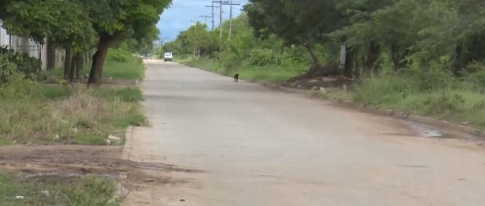 $output.data $output.data