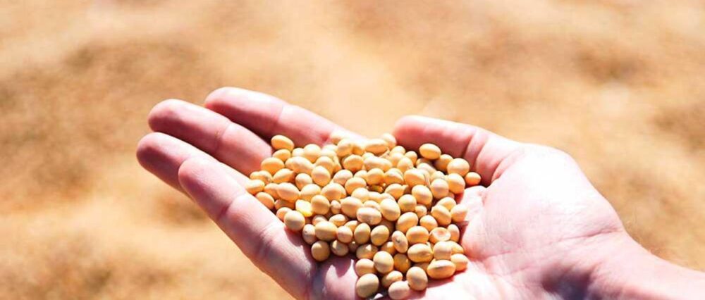 $output.data $output.data