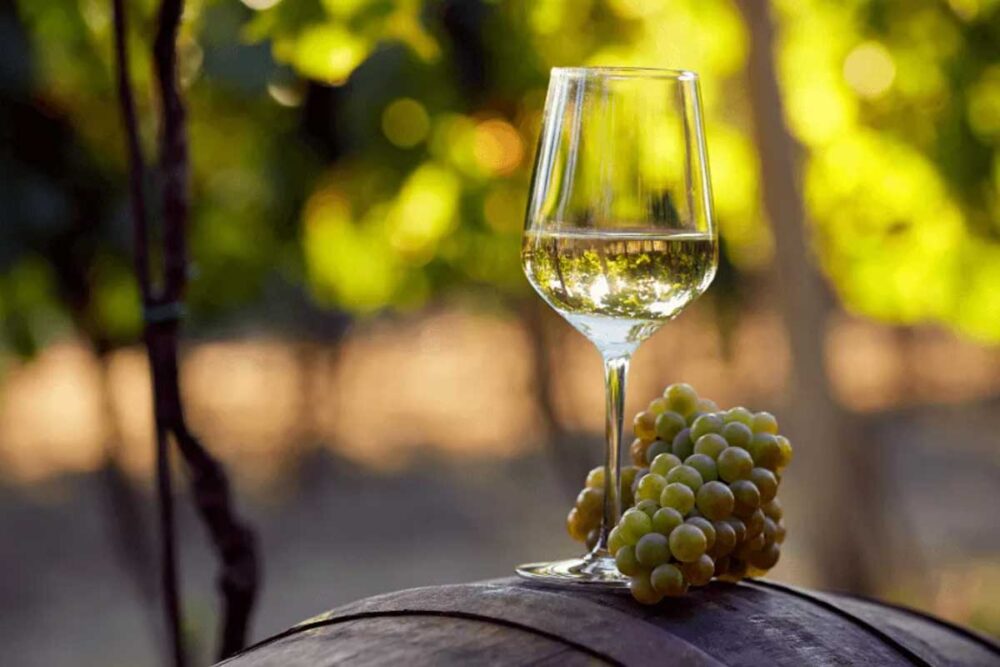 Enólogo chileno destaca el 'delicioso' singani boliviano