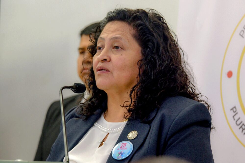 Ministra de Salud, Marcela Flores Zambrana, informa sobre heridos de accidente aéreo. Foto: Ministerio de Salud.