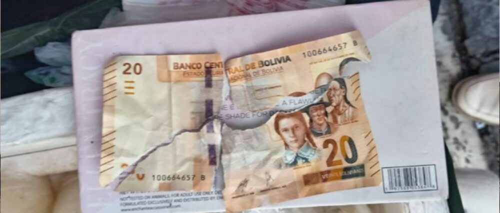 $output.data $output.data