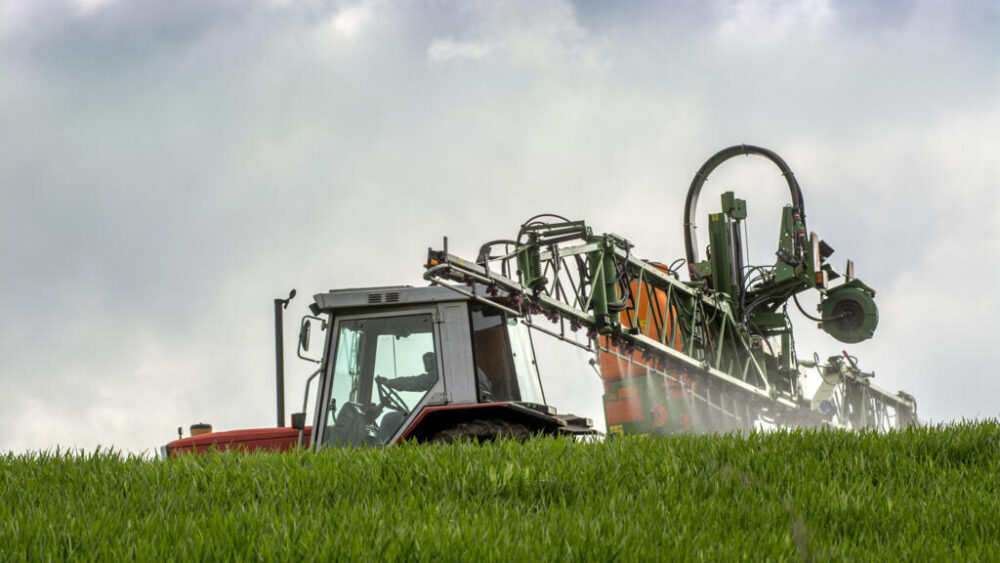 Desde el inicio del conflicto en Oriente Medio, el precio de la urea se ha disparado en los mercados internacionales. (Imagen ilustrativa: un agricultor francés esparce fertilizante en su campo de trigo)
