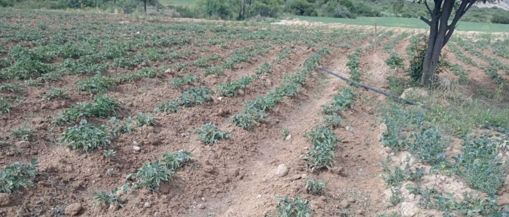 $output.data $output.data