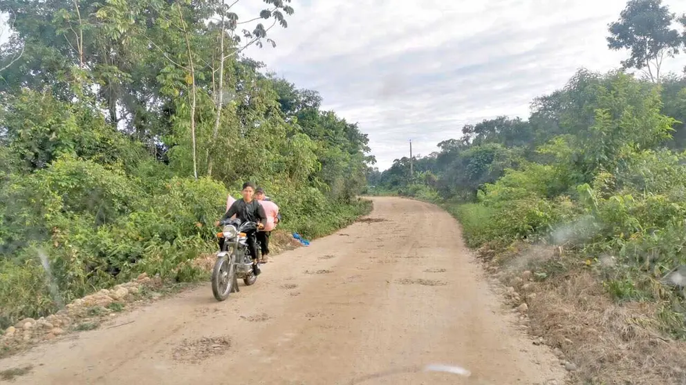 El camino que conduce al pueblo Yuqui. / MARIELA COSSÍO
