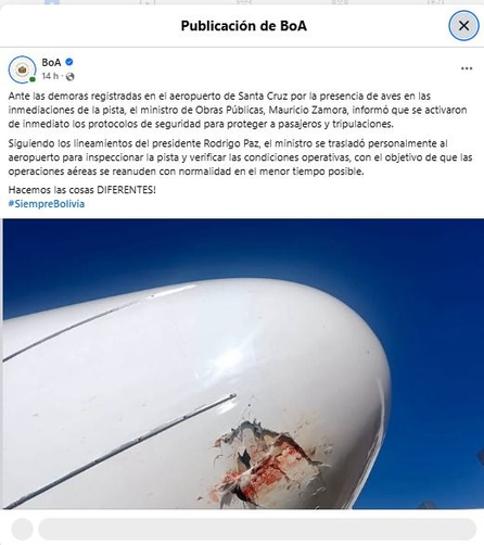 Retrasos en vuelos: BoA explica que la presencia de aves dificultó operaciones en la pista