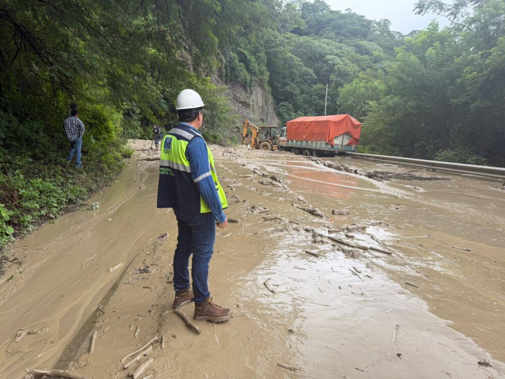 Palizada en el tramo La Angostura-Bermejo-Samaipata en los valles cruceños. Foto: ABC.