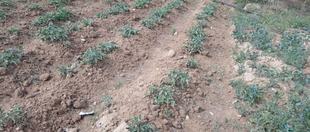 $output.data $output.data