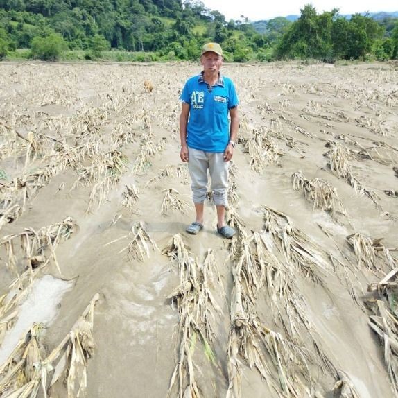 Cultivos perdidos y caminos dañados: el saldo de las lluvias en una comunidad de Vallegrande- Cultivos perdidos y caminos dañados: el saldo de las lluvias en una comunidad de Vallegrande