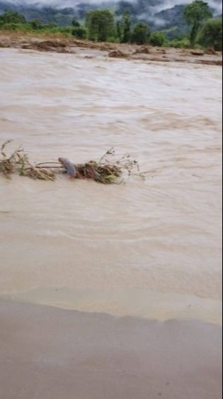 Cultivos perdidos y caminos dañados: el saldo de las lluvias en una comunidad de Vallegrande- Cultivos perdidos y caminos dañados: el saldo de las lluvias en una comunidad de Vallegrande