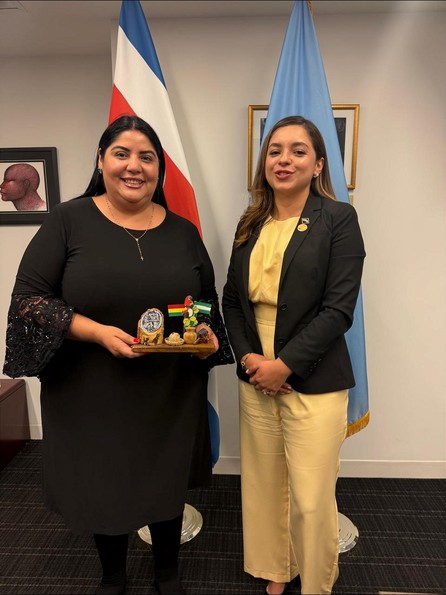 Viceministra Echeverría en la ONU: “Nunca más tiene que haber impunidad cuando se trata de niñas, adolescentes y mujeres”- Viceministra Echeverría en la ONU: “Nunca más tiene que haber impunidad cuando se trata de niñas, adolescentes y mujeres”