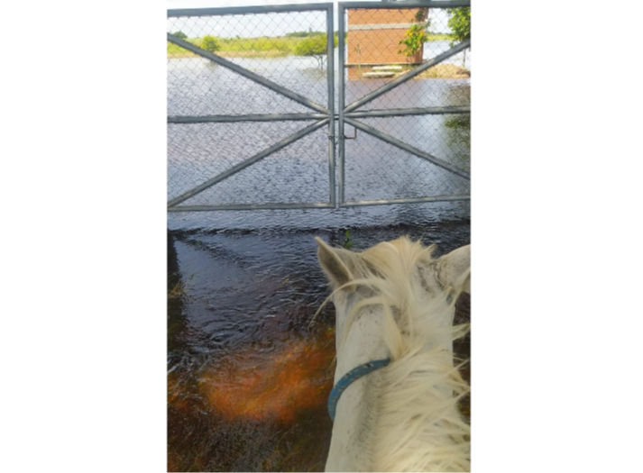 Reportan 90 familias afectadas por las inundaciones en Nueva Esperanza, en Okinawa - Reportan 90 familias afectadas por las inundaciones en Nueva Esperanza, en Okinawa