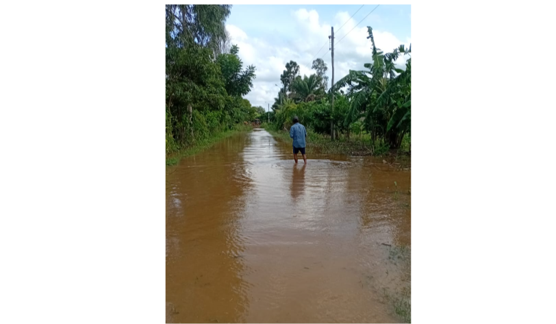 Reportan 90 familias afectadas por las inundaciones en Nueva Esperanza, en Okinawa - Reportan 90 familias afectadas por las inundaciones en Nueva Esperanza, en Okinawa