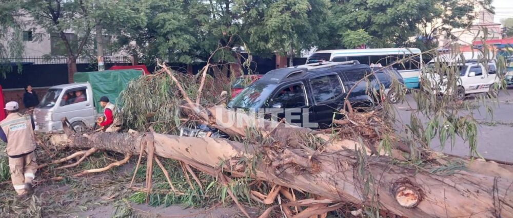 $output.data $output.data