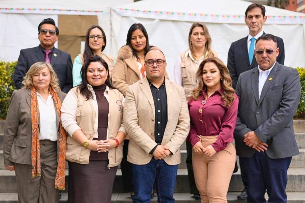 La misión de la OEA. Foto: TSE.