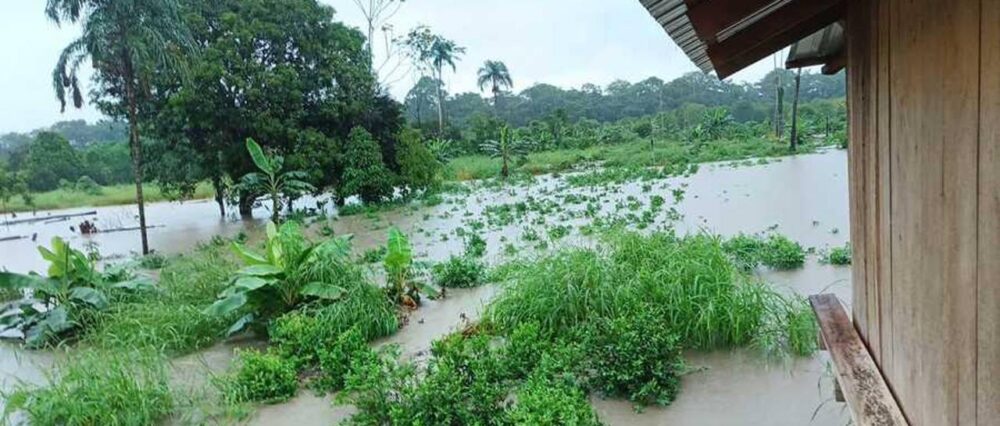 $output.data $output.data