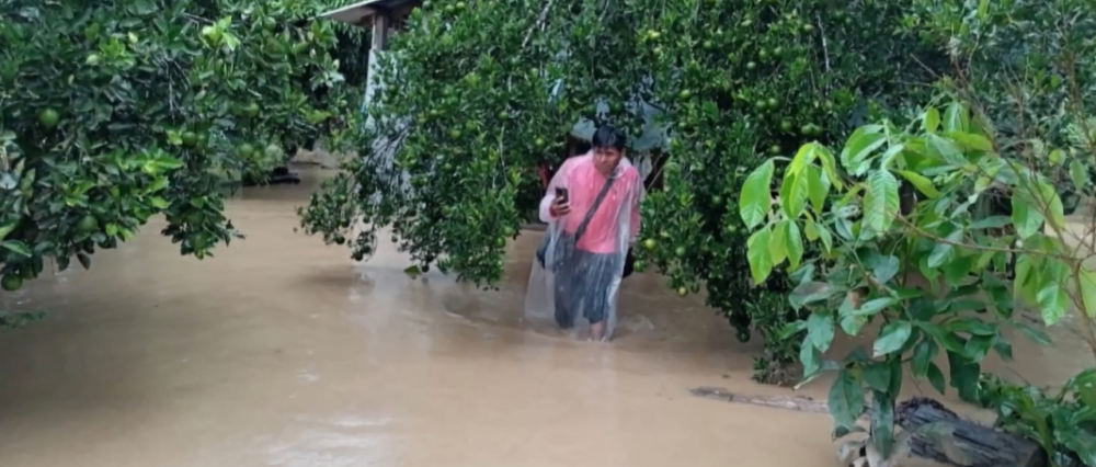 $output.data $output.data