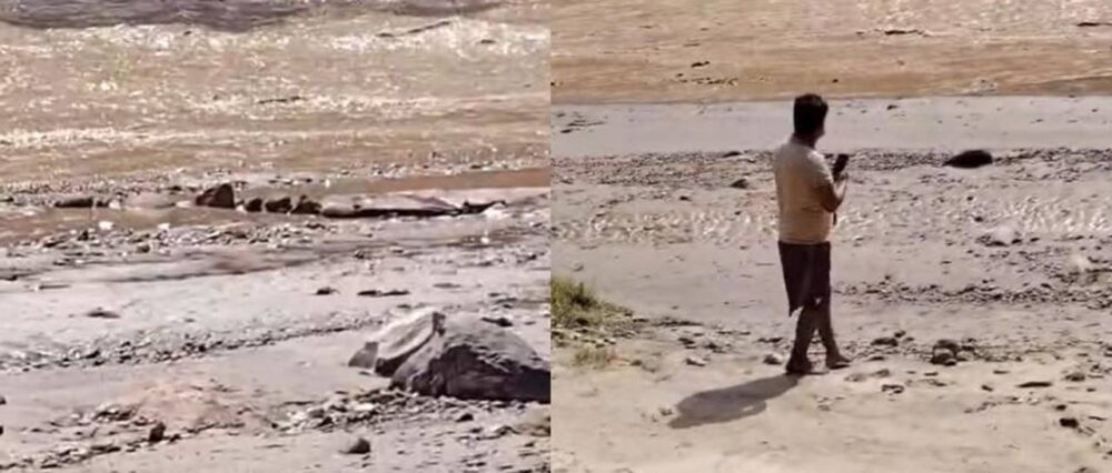 $output.data $output.data