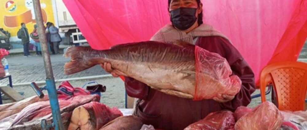 $output.data $output.data