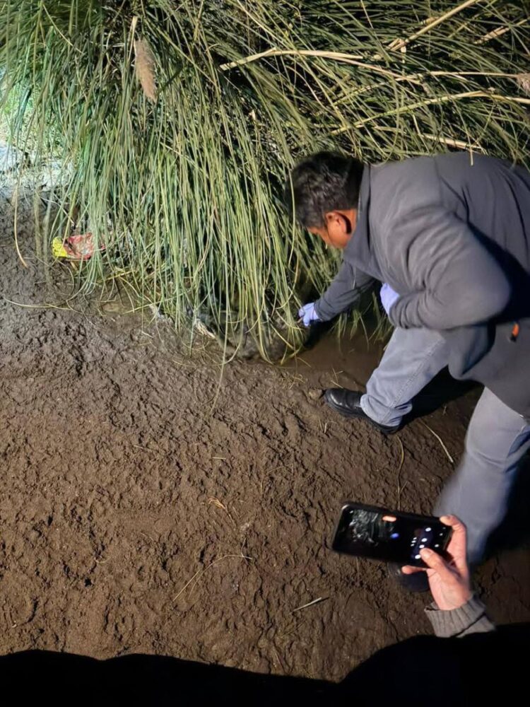 Lugar donde se encontró a la perrita